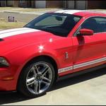 Ronnie & Renee Brown - 2010 Shelby GT500